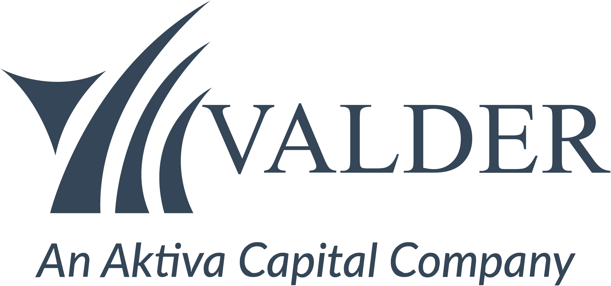 13 Logo Valder1
