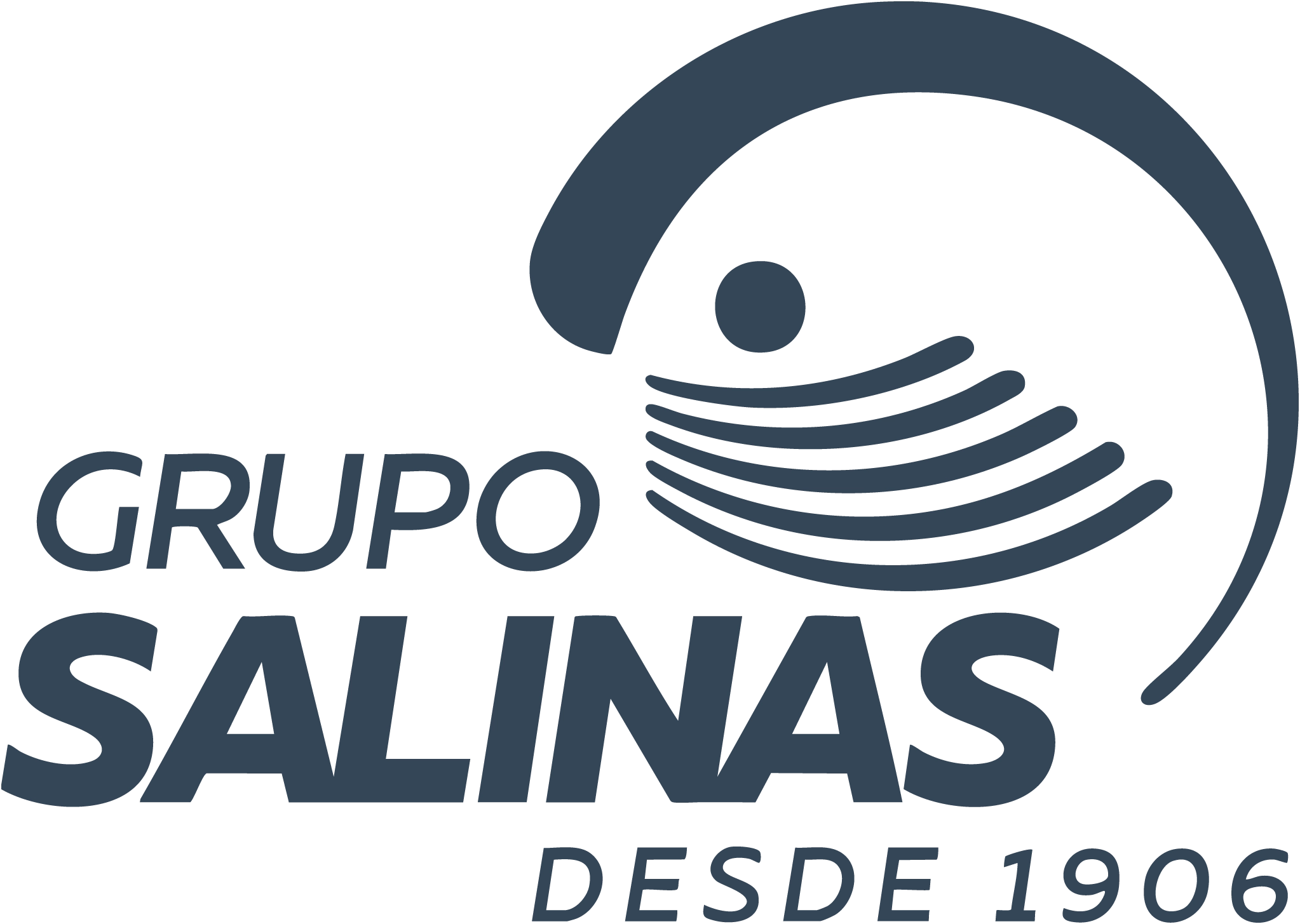14 logo Grupo Salinas1