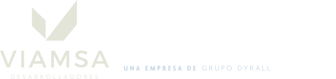 ViamsaProyectosSuperHead